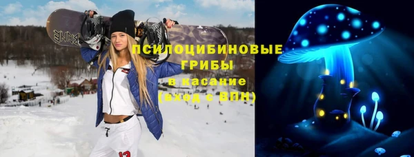PSILOCYBIN Алзамай