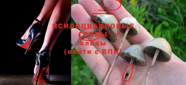 экстази Алексеевка