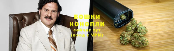 PSILOCYBIN Алзамай