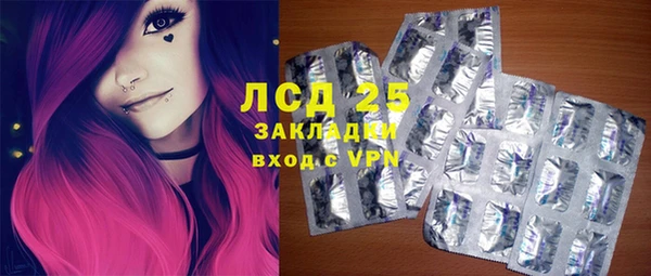 PSILOCYBIN Алзамай