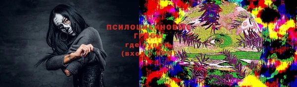PSILOCYBIN Алзамай