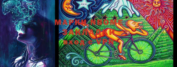 PSILOCYBIN Алзамай