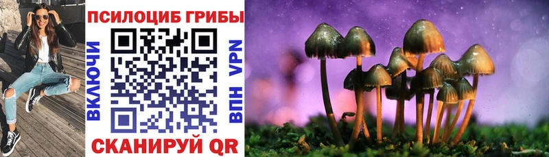 наркотики  Перевоз  Псилоцибиновые грибы мицелий 